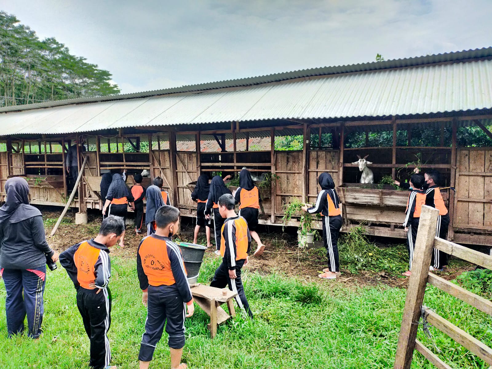Gambar Berita